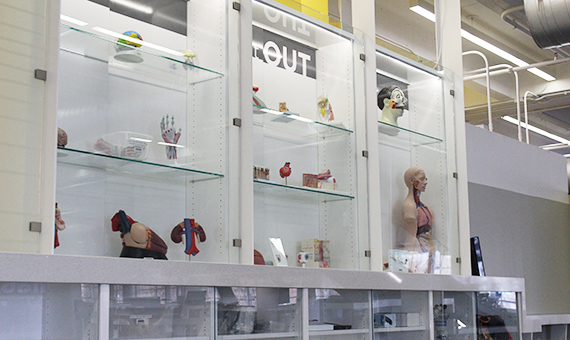 display case