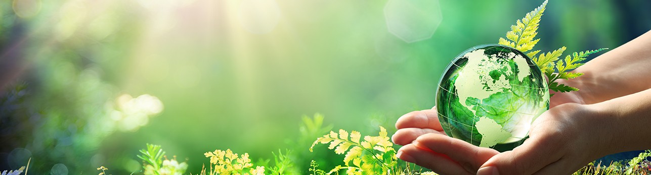 World Environment Day_banner