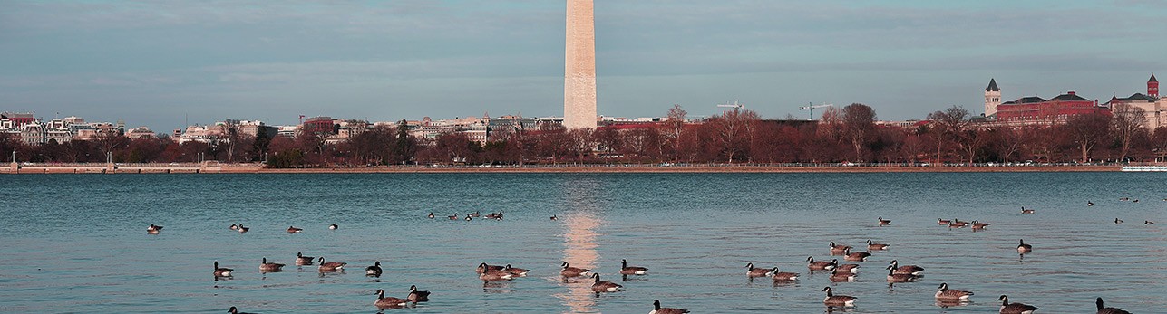Lincoln monument
