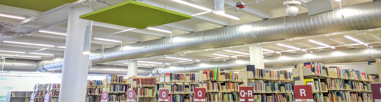 Library Stacks