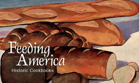 Feeding America Project