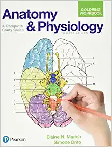 Anatomy & physiology coloring workbook : a complete study guide