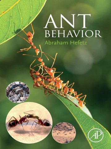 Cover of "Ant Behavior" by Abraham Hefetz. It features a chain of ants on a leaf with three circular insets showing close-ups of ants and their habitat.