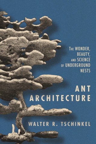 Ant architecture: the wonder, beauty, and science of underground nests