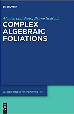 Complex Algebraic Foliations