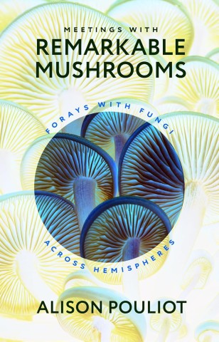 Cover of "Meetings with Remarkable Mushrooms" by Alison Pouliot, featuring vibrant, close-up images of mushroom gills in blue and yellow tones.
