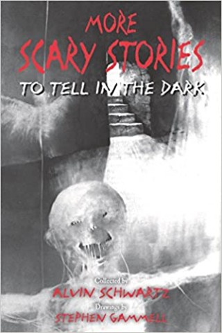 More Scary Stories to Tell in the Dark (Scary Stories, 2)