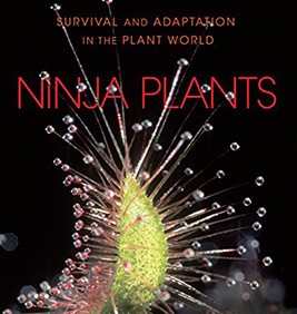 Ninja Plants