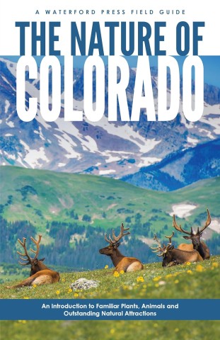 Cover of "The Nature of Colorado" field guide showing elk resting in a vibrant, wildflower-dotted meadow with majestic snow-capped mountains behind.