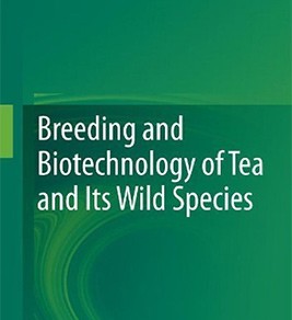 Breeding and Biotechnology of Tea