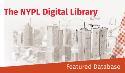 The NYPL Digital Gallery An overview of the NYPI Digital Library, showcasing its extensive collection of digital resources and user-friendly interface.