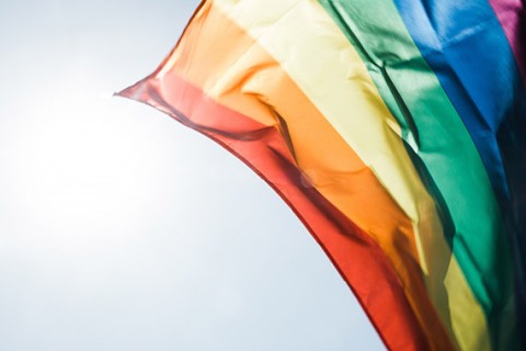 GenderWatch pride flag