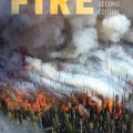 Fire: a brief history