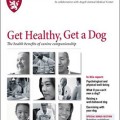 Get Healthy, Get a Dog