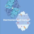 Cover of "Vitamins and Hormones: Hormones and Cancer" featuring molecular structures in blue and purple against a light blue background. Title and editor's name are present.