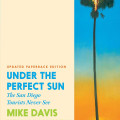 Book cover for *Under the Perfect Sun*: a lone palm tree against a vivid blue-to-orange sunset, with bold yellow, blue, and green text.