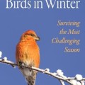 Birds in Winter: Surviving the Most Challenging Season