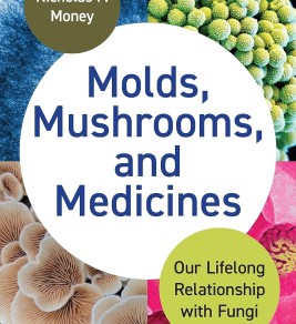 Book cover of "Molds, Mushrooms, and Medicines." Features colorful fungi images around a central white circle with the title. Scientific and engaging.