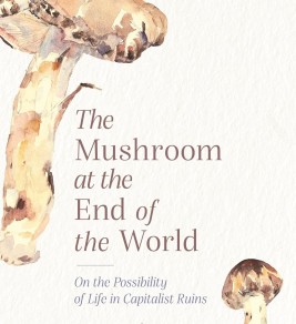 Cover of "The Mushroom at the End of the World" by Anna Lowenhaupt Tsing. Features watercolor mushrooms and text on a white background, evoking a thoughtful tone.